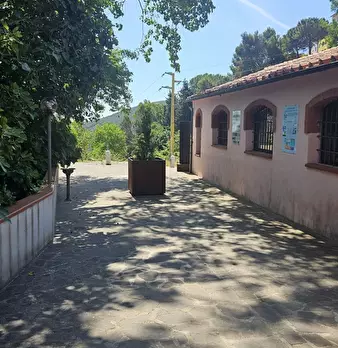 Foto annuncio 3