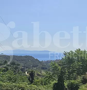 Foto annuncio 4
