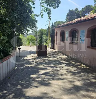 Foto annuncio 3