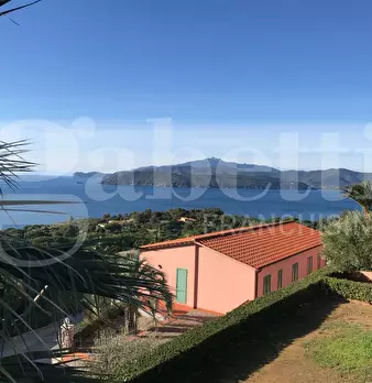 Foto annuncio 21