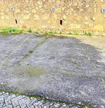 Foto annuncio 21