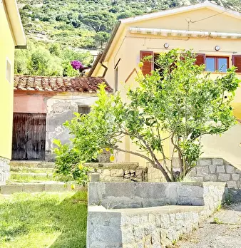 Foto annuncio 3
