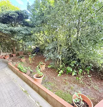 Foto annuncio 18
