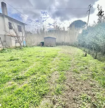 Foto annuncio 12