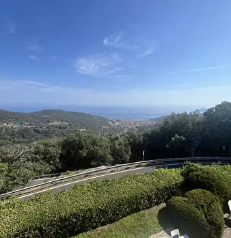Foto annuncio 6
