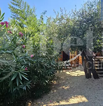 Foto annuncio 6