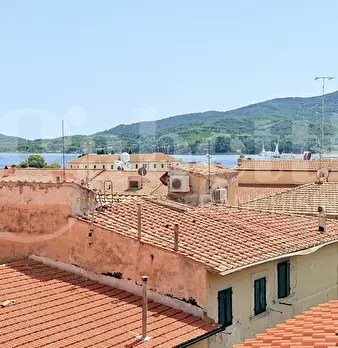 Foto annuncio 19
