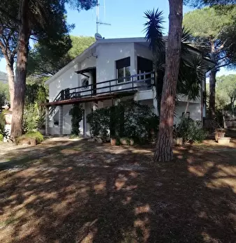 Foto annuncio 11