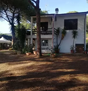 Foto annuncio 10