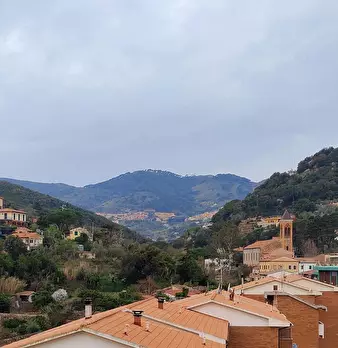 Foto annuncio 11