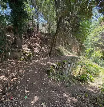 Foto annuncio 44