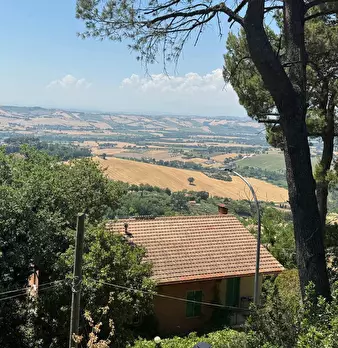 Foto annuncio 40