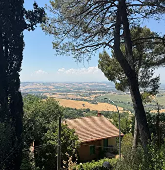 Foto annuncio 34