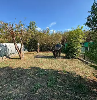Foto annuncio 11