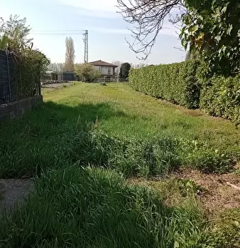 Foto annuncio 10
