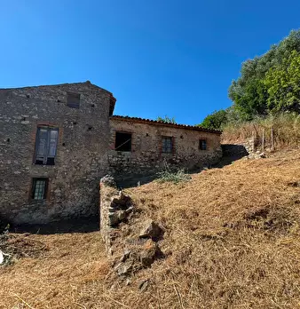 Foto annuncio 13