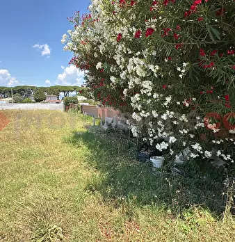 Foto annuncio 12