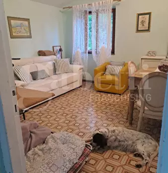 Foto annuncio 7