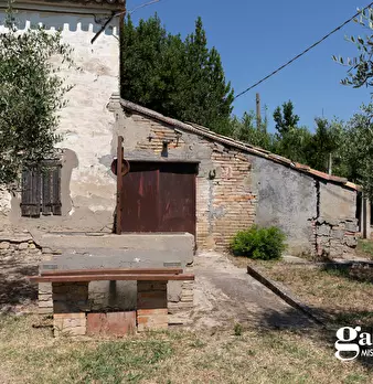Foto annuncio 7