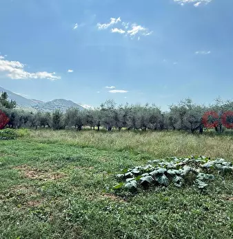 Foto annuncio 10