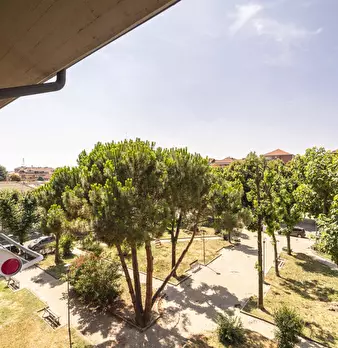 Foto annuncio 15
