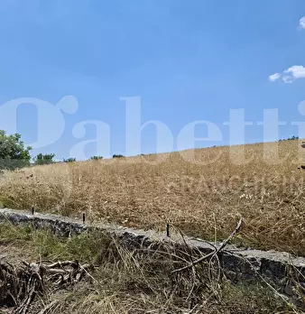 Foto annuncio 21