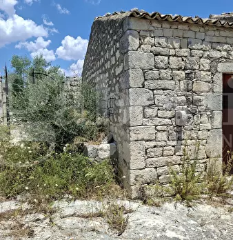 Foto annuncio 12