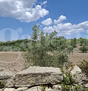 Foto annuncio 18