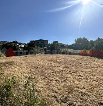 Foto annuncio 10