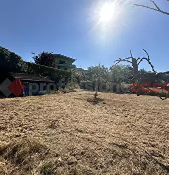 Foto annuncio 3