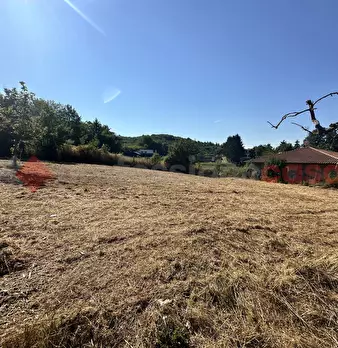 Foto annuncio 13