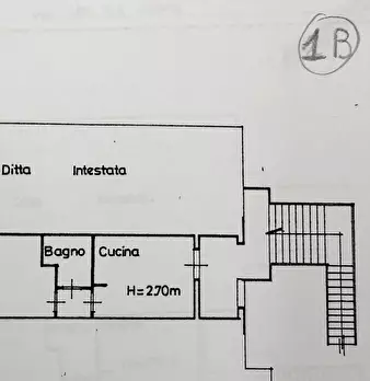 Foto annuncio 11