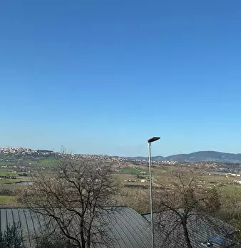 Foto annuncio 21