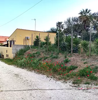 Foto annuncio 16