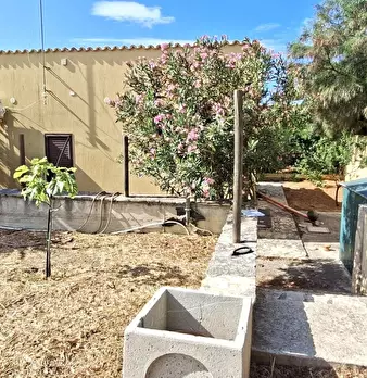 Foto annuncio 31
