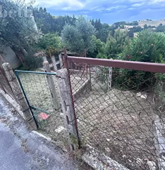 Foto annuncio 4