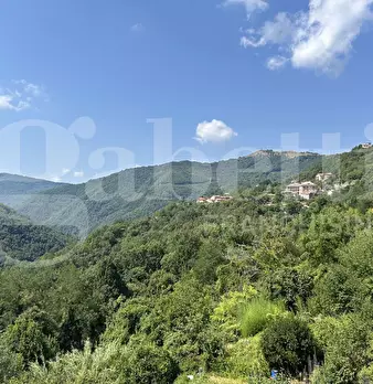 Foto annuncio 24