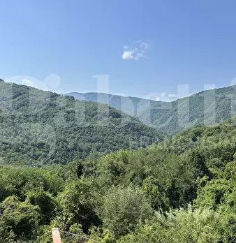 Foto annuncio 32