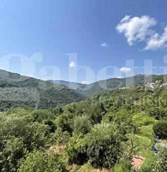 Foto annuncio 27