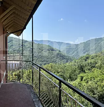 Foto annuncio 31