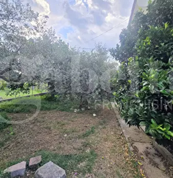 Foto annuncio 8