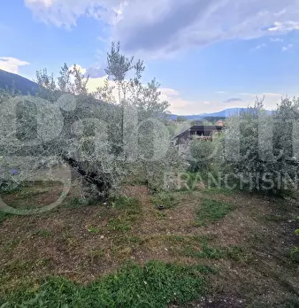 Foto annuncio 7