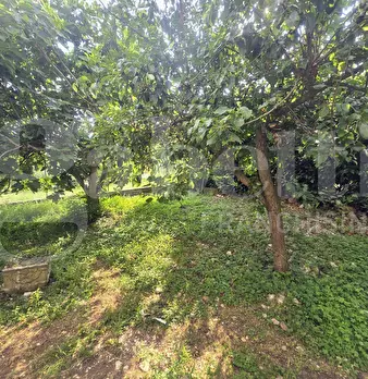 Foto annuncio 6