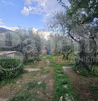 Foto annuncio 9
