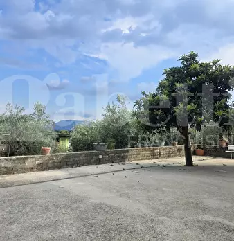 Foto annuncio 4