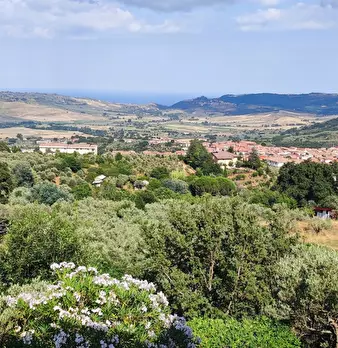 Foto annuncio 31