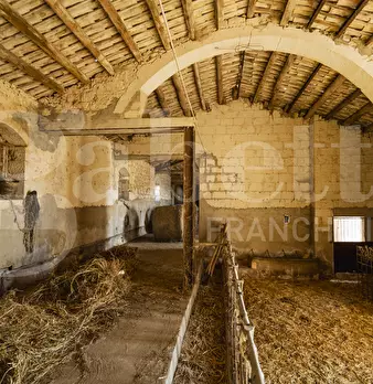 Foto annuncio 12