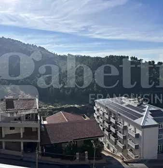 Foto annuncio 12