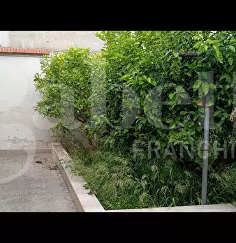 Foto annuncio 21