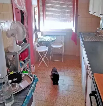 Foto annuncio 10
